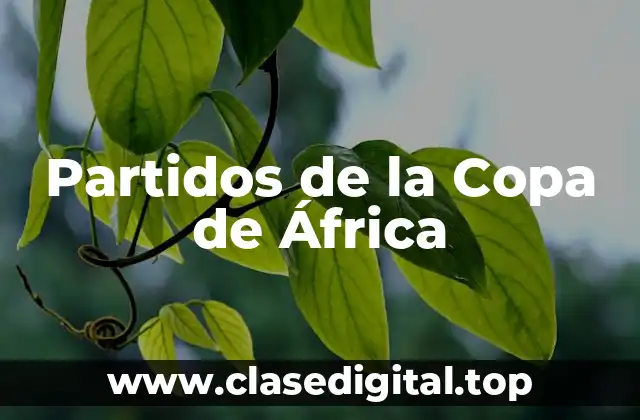 Historia de la Copa de África