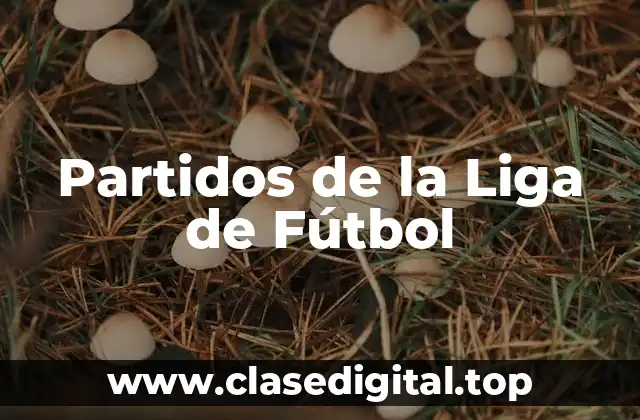 Partidos de la Liga de Fútbol