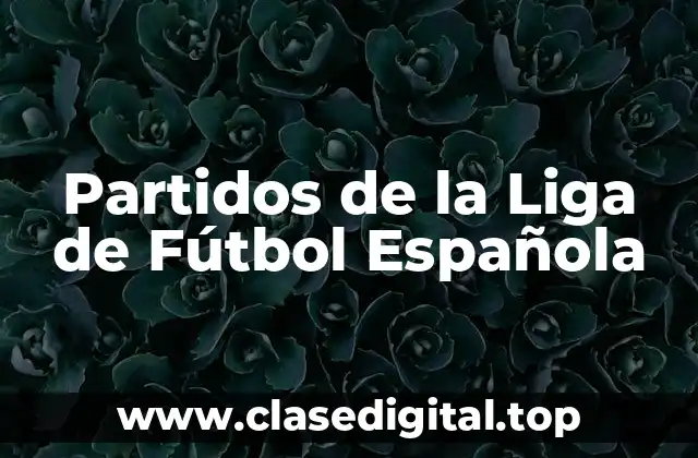 Partidos de la Liga de Fútbol Española