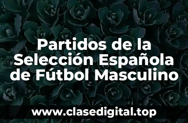 Partidos de la Selección Española de Fútbol Masculino
