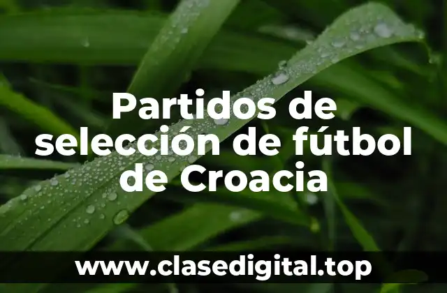 Partidos de selección de fútbol de Croacia