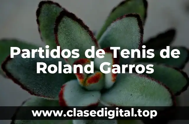 Partidos de Tenis de Roland Garros