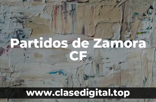 Partidos de Zamora CF