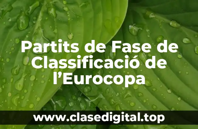 Partits de Fase de Classificació de l’Eurocopa