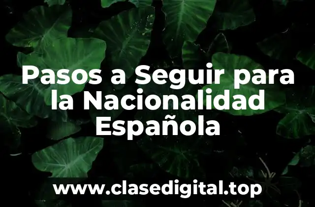 Pasos a Seguir para la Nacionalidad Española