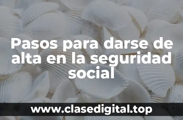 Requisitos para darse de alta en la seguridad social