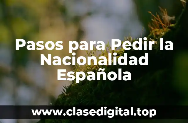 Pasos para Pedir la Nacionalidad Española