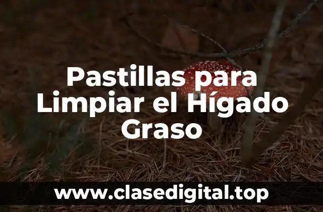 ¿Qué es el Hígado Graso?