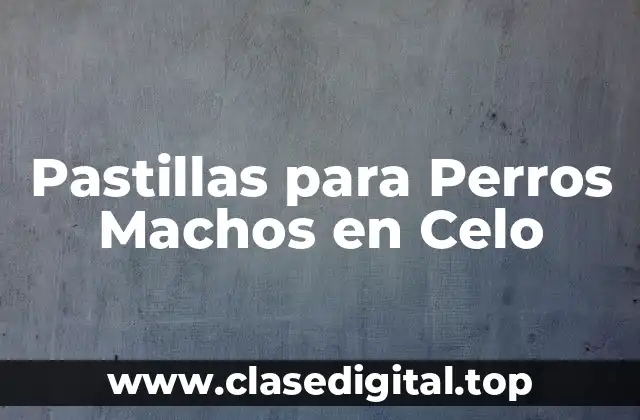 Pastillas para Perros Machos en Celo