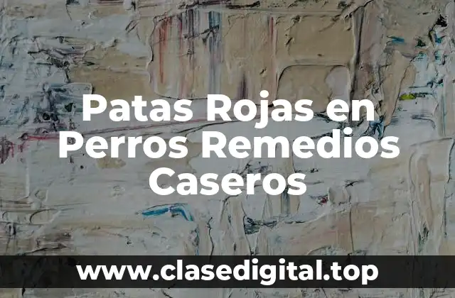 Patas Rojas en Perros Remedios Caseros