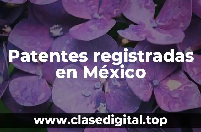 Ejemplos de patentes registradas en México