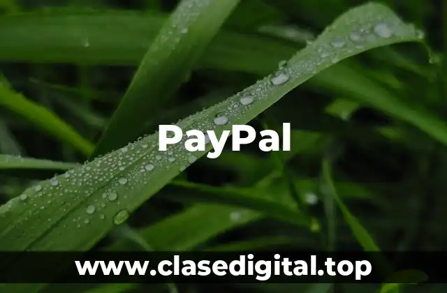 Historia de PayPal: De la fundación a la adquisición por parte de eBay