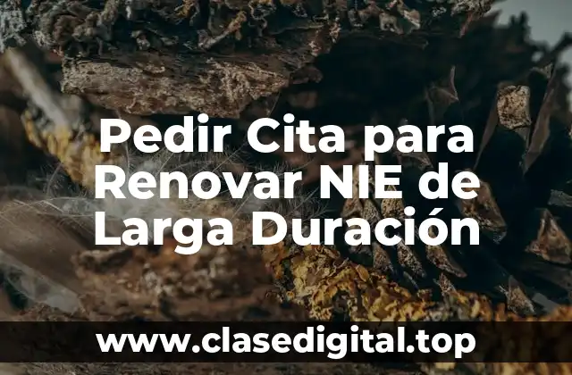 Pedir Cita para Renovar NIE de Larga Duración
