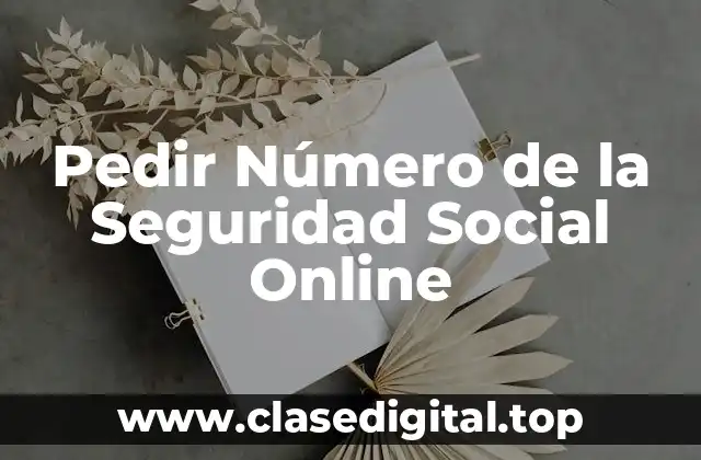 Pedir Número de la Seguridad Social Online