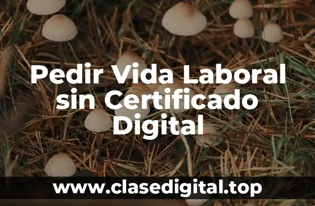 Pedir Vida Laboral sin Certificado Digital