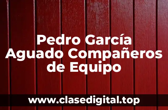 Pedro García Aguado Compañeros de Equipo