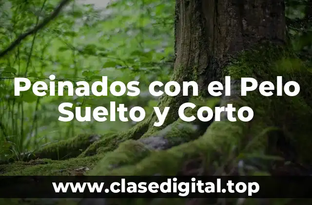 Peinados con el Pelo Suelto y Corto