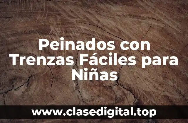 Peinados con Trenzas Fáciles para Niñas