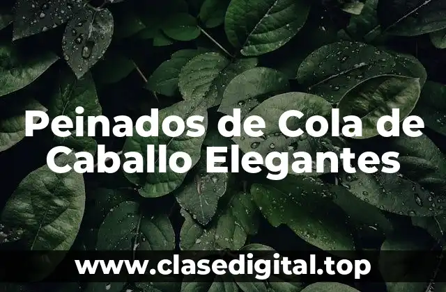 Peinados de Cola de Caballo Elegantes