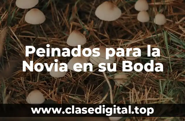 Tendencias de Peinados para la Novia en su Boda