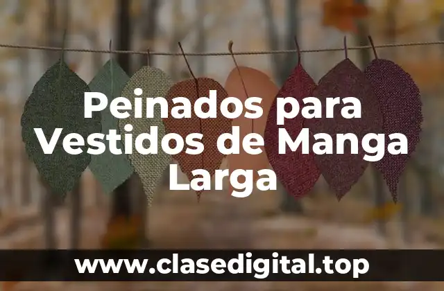 Peinados para Vestidos de Manga Larga