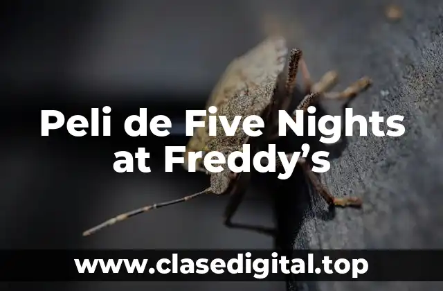 Peli de Five Nights at Freddy’s