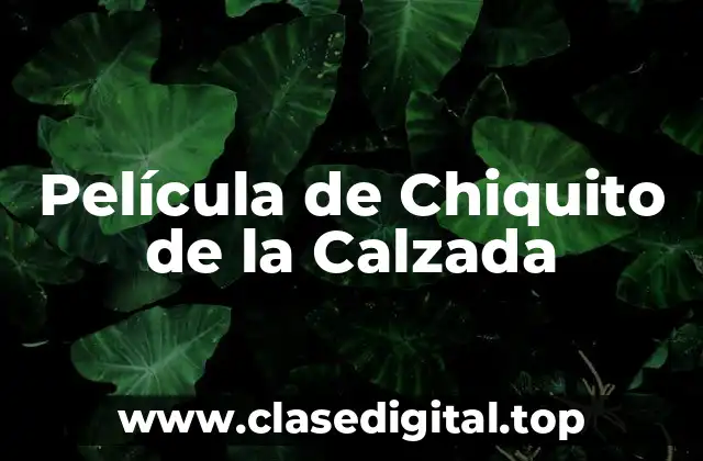 ¿Quién fue Chiquito de la Calzada?