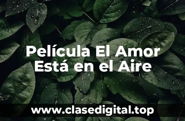 Película El Amor Está en el Aire