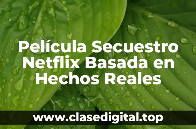 Película Secuestro Netflix Basada en Hechos Reales