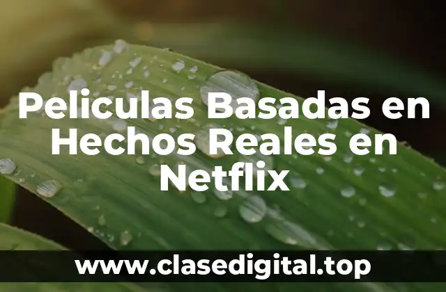 Peliculas Basadas en Hechos Reales en Netflix