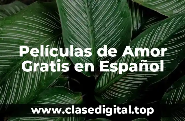 Los Mejores Sitios Web para Ver Películas de Amor Gratis en Español