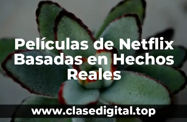 Películas de Netflix Basadas en Hechos Reales