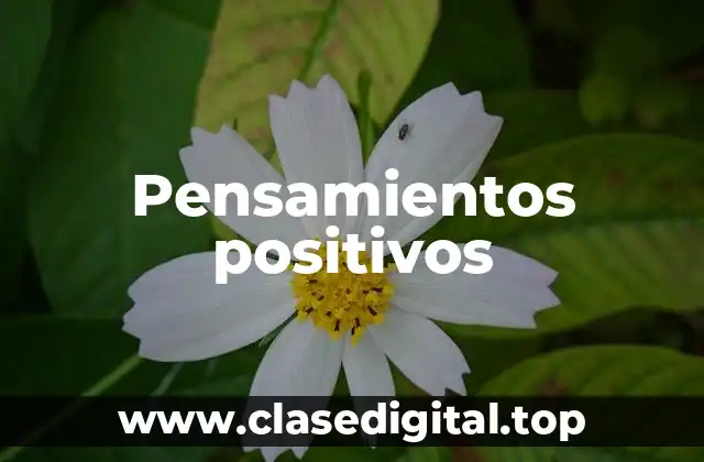 Pensamientos positivos