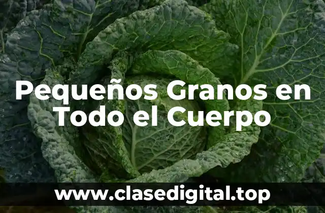 Pequeños Granos en Todo el Cuerpo