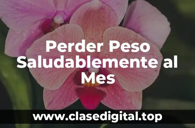 Perder Peso Saludablemente al Mes