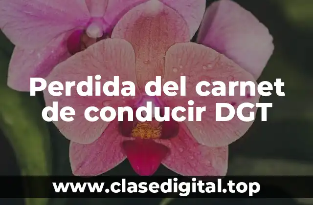 Perdida del carnet de conducir DGT