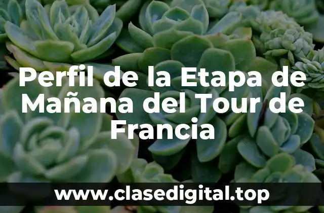 Perfil de la Etapa de Mañana del Tour de Francia