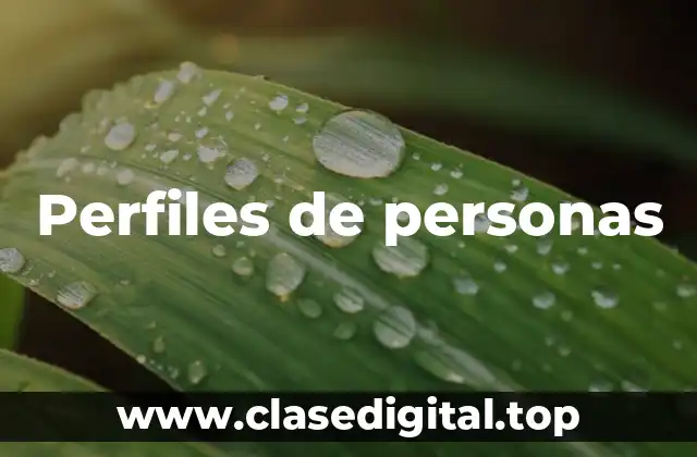 Perfiles de personas