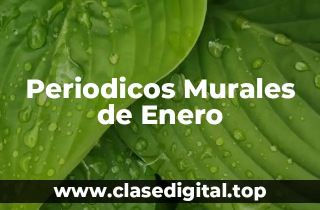 Periodicos Murales de Enero