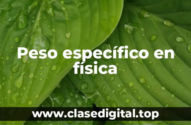 Peso específico en física