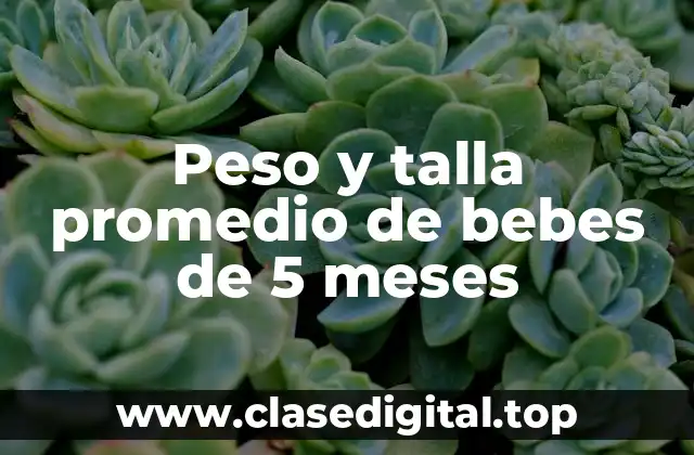 Estándares de peso promedio para bebés de 5 meses