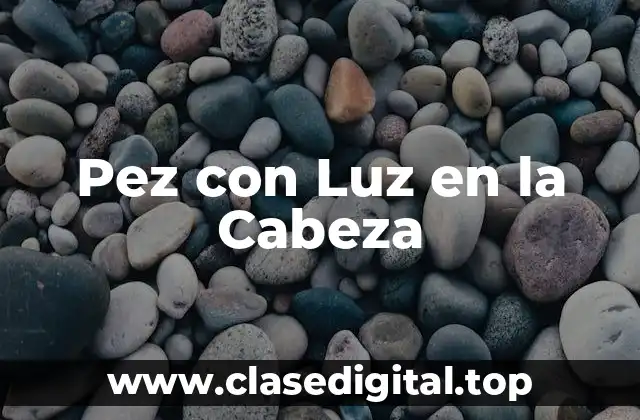 Pez con Luz en la Cabeza