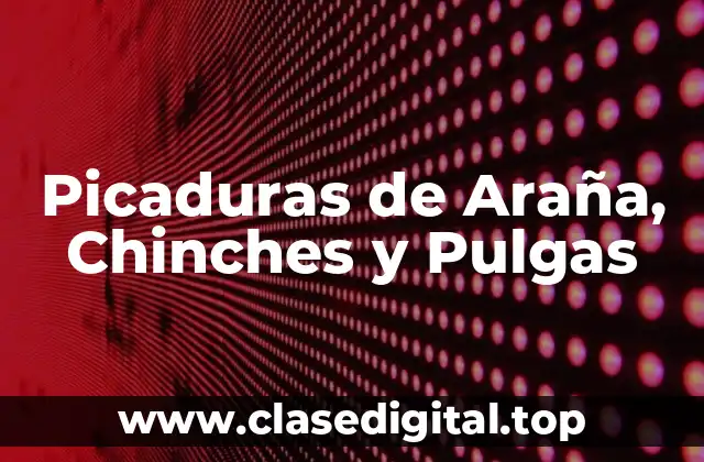 ¿Qué son las Picaduras de Araña?