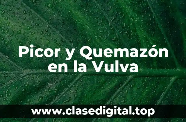 Picor y Quemazón en la Vulva