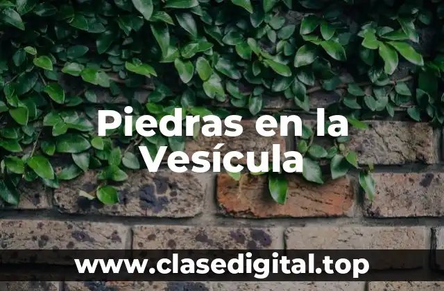 Piedras en la Vesícula