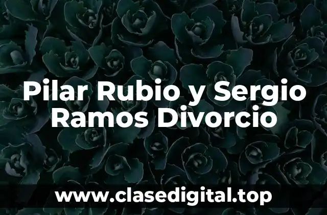 Pilar Rubio y Sergio Ramos Divorcio