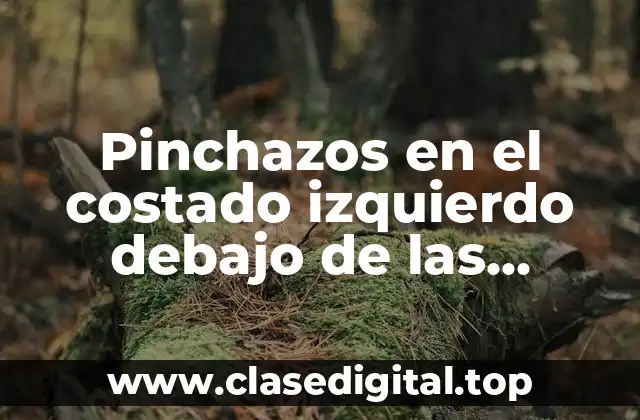 Pinchazos en el costado izquierdo debajo de las costillas