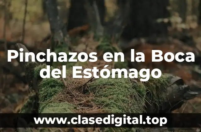 Pinchazos en la Boca del Estómago