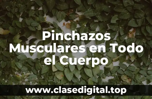 Pinchazos Musculares en Todo el Cuerpo