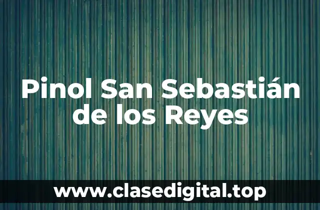 Pinol San Sebastián de los Reyes